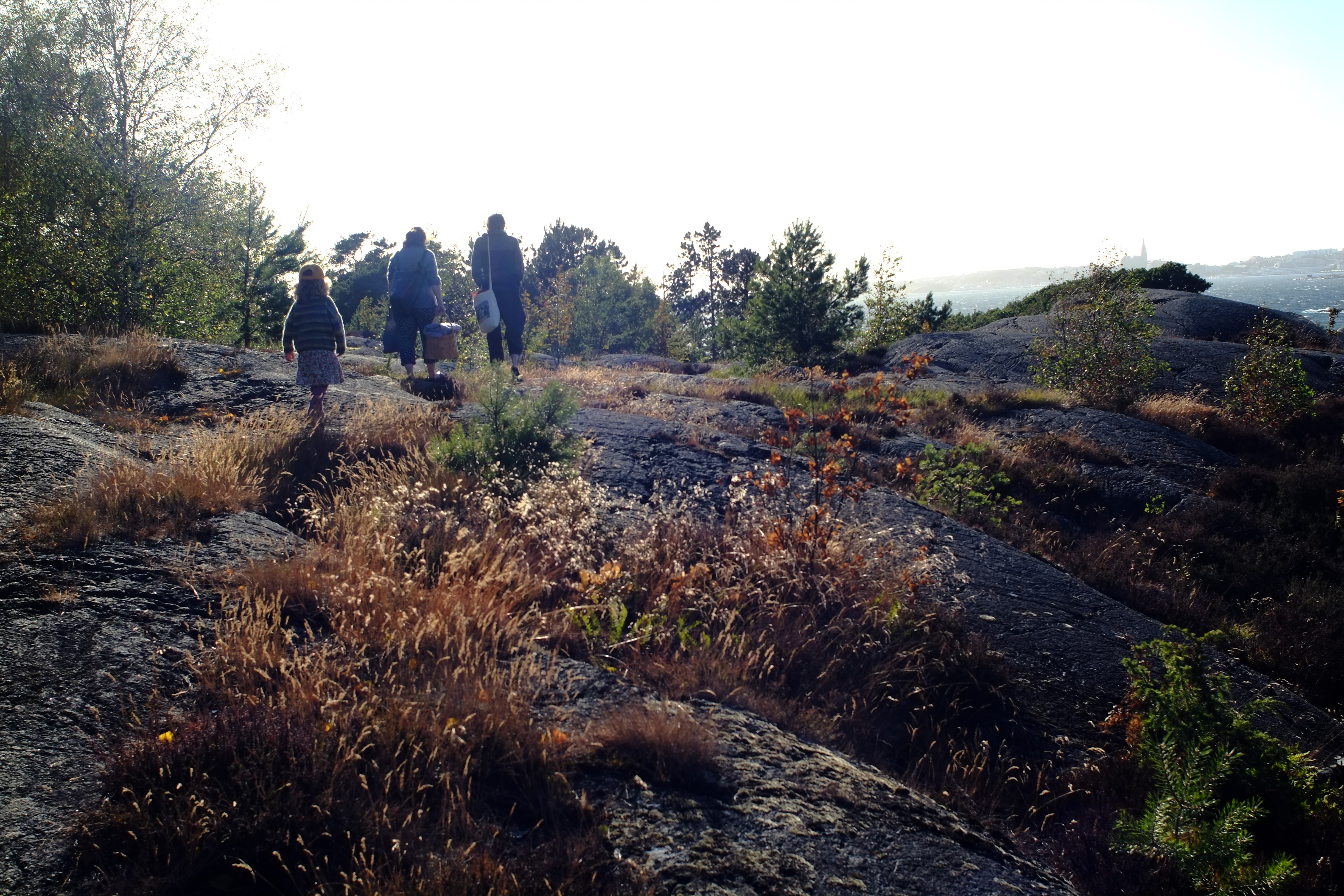 Klippor vid Skaftö / Skaftö cliffs